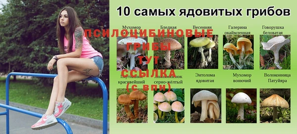 прущая мука Аркадак