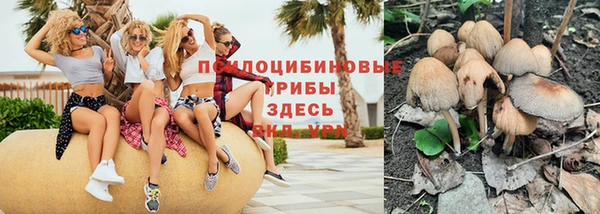 прущая мука Аркадак