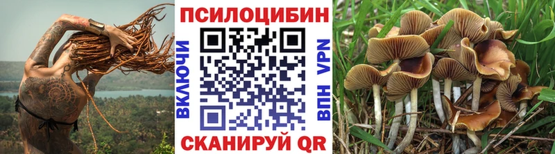 Псилоцибиновые грибы MAGIC MUSHROOMS  где купить   MEGA ссылки  Николаевск 